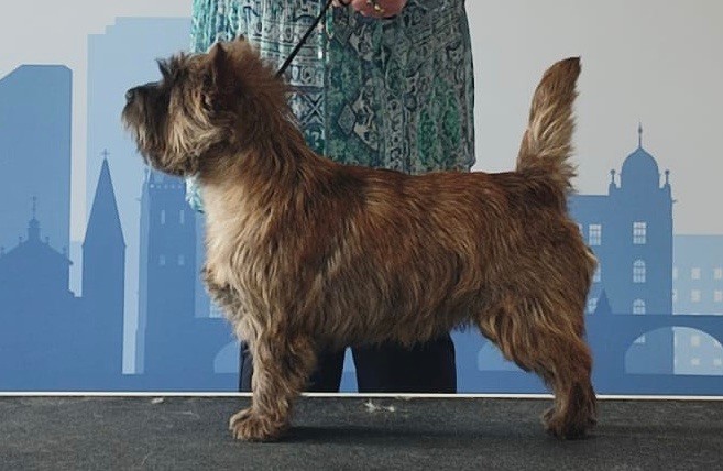 CH. Umalas bali des terres de cérès Des Terres De Cérès