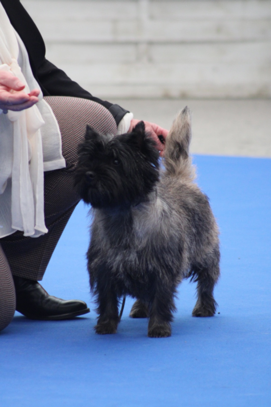 Bientôt des babys à la maison