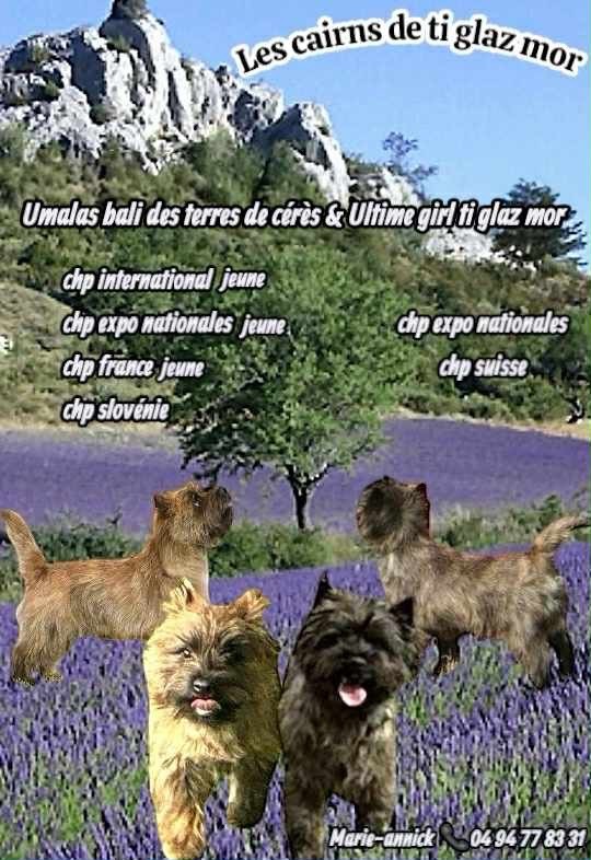 Ils se plaisent, se marient, et fondent une famille 